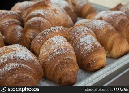 Fresh Croissants with Powdered Sugar for Continental Breakfast