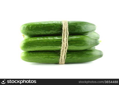 Fresh Cucumber on white background.