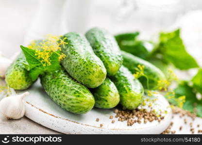 Fresh cucumbers and ingredients for conservation. Preparation marinated salted cucumbers with herbs and salt.