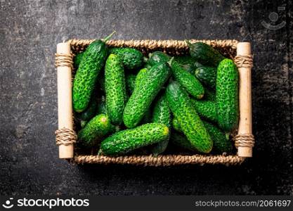 Fresh cucumbers in a basket. On a black background. High quality photo. Fresh cucumbers in a basket.