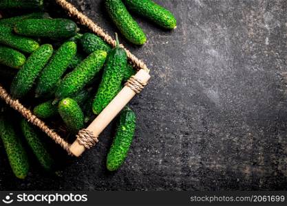 Fresh cucumbers in a basket. On a black background. High quality photo. Fresh cucumbers in a basket.