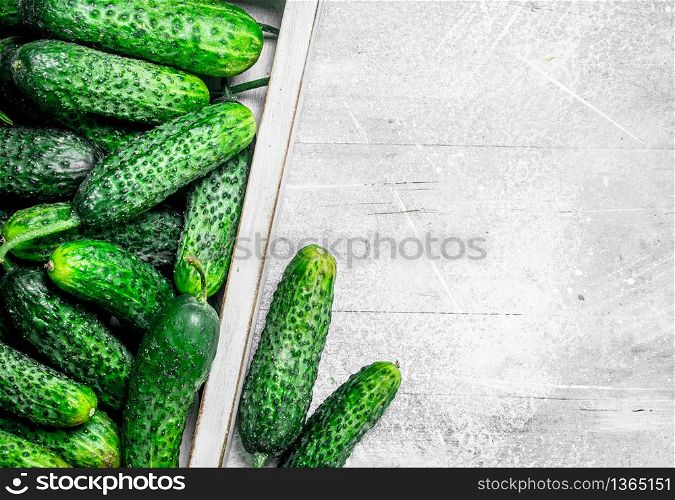Fresh cucumbers on a wooden tray. On rustic background. Fresh cucumbers on a wooden tray.