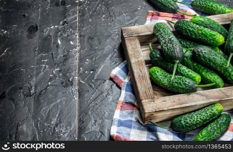 Fresh cucumbers on a wooden tray with a napkin. On rustic background. Fresh cucumbers on a wooden tray with a napkin.