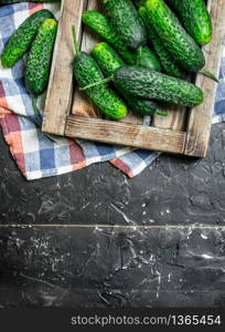 Fresh cucumbers on a wooden tray with a napkin. On rustic background. Fresh cucumbers on a wooden tray with a napkin.