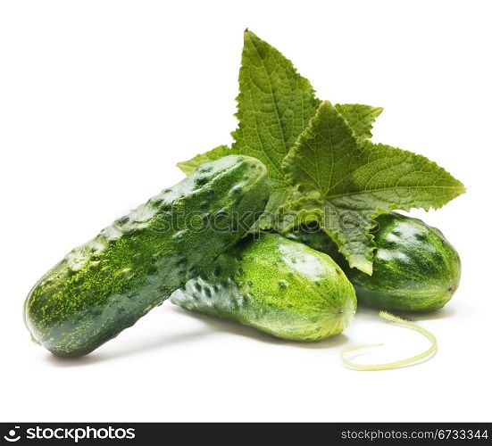 Fresh cucumbers with leaves