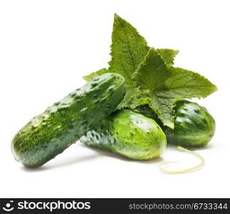 Fresh cucumbers with leaves
