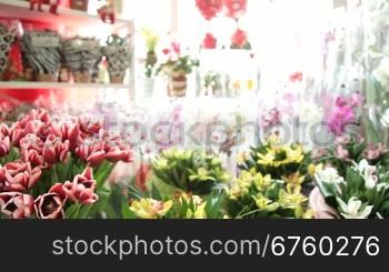 Fresh Cut Bouquets Tulips and Orchids In Flower Shop, Tilt Down