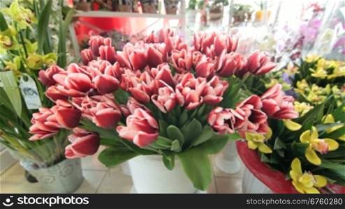 Fresh Cut Flowers And Arrangements In Florist Shop, Tracking Shot