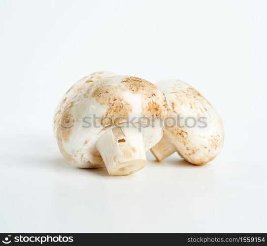 fresh cut mushrooms champignons on white background, close up