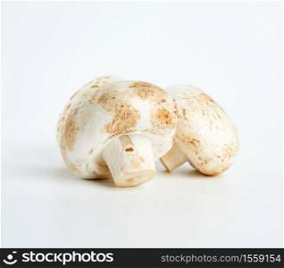 fresh cut mushrooms champignons on white background, close up