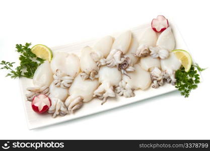 fresh cuttlefish