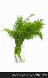 Fresh Dill (herb) isolated on white in a water glass.