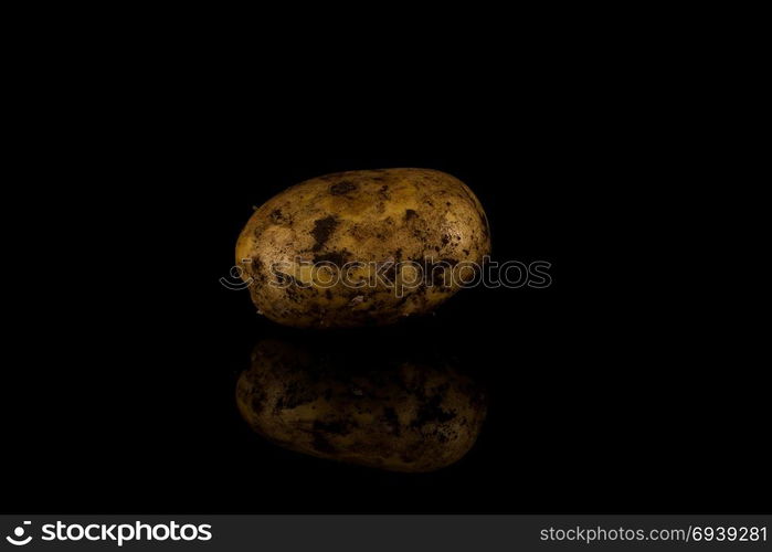 Fresh dirty potato isolated on a black background.