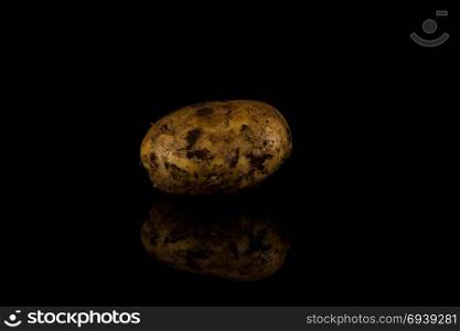 Fresh dirty potato isolated on a black background.
