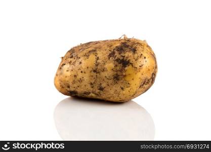 Fresh dirty potato isolated on a white background.