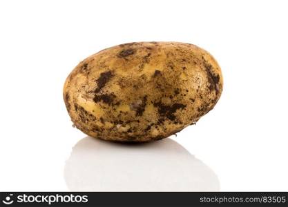 Fresh dirty potato isolated on a white background.