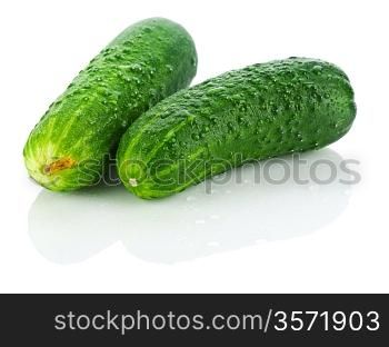 fresh dropped cucumbers