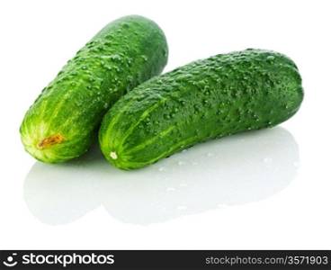 fresh dropped cucumbers