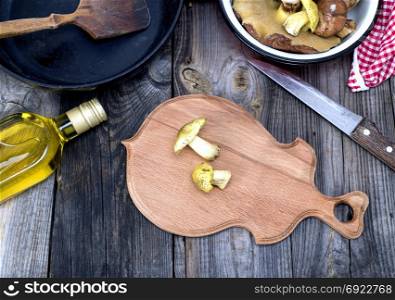 fresh edible wild mushrooms, olive oil and black round cast-iron frying pan on a gray wooden background,
