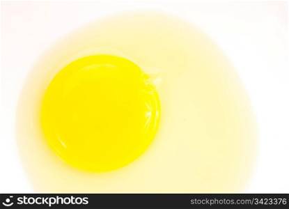 Fresh egg yolk in white bowl on white background