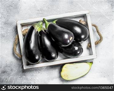 Fresh eggplant on tray. On white rustic background. Fresh eggplant on tray.