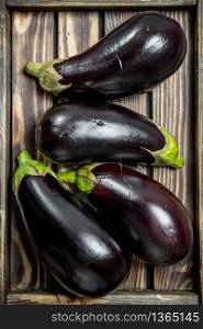 Fresh eggplant on tray. Top view. Fresh eggplant on tray.