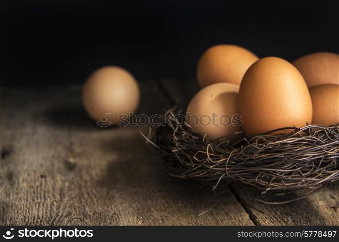 Fresh eggs in birds nest in vintage style moody natural lighting set up