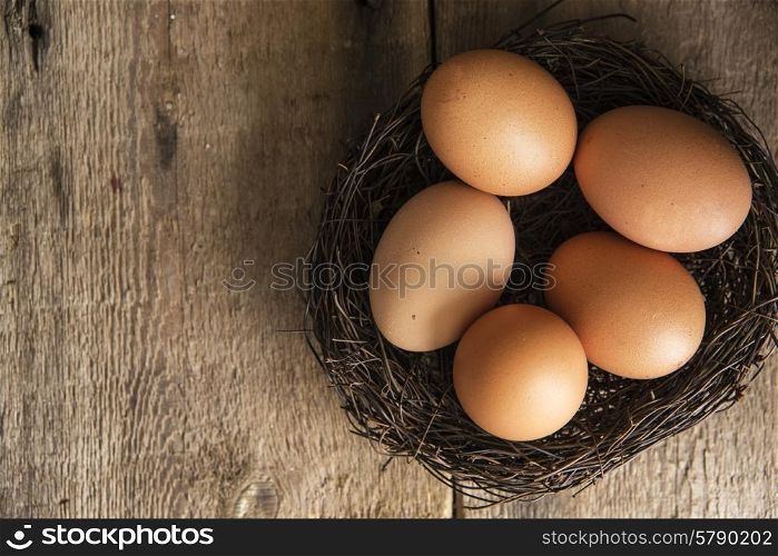 Fresh eggs in birds nest in vintage style moody natural lighting set up