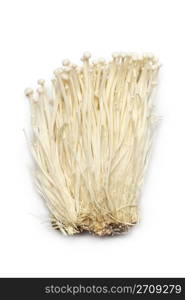 Fresh Enoki mushrooms on white background