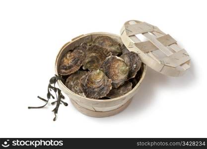 Fresh European flat oysters in a basket on white background