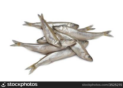 Fresh European smelt fishes on white background