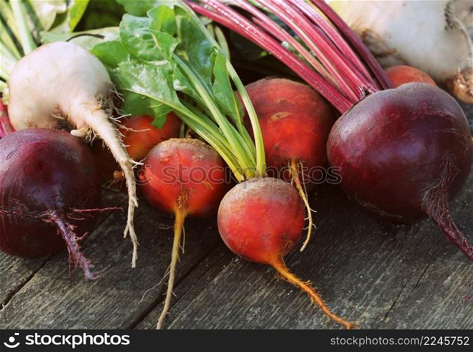 Fresh farm colorful beetroot on a wooden background. Detox and health. Selective focus. Red, golden, white beet .. Fresh farm colorful beetroot on a wooden background. Detox and health. Selective focus. Red, golden, white beet