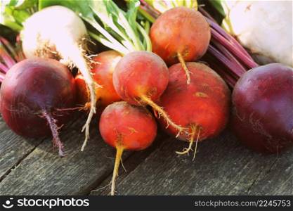 Fresh farm colorful beetroot on a wooden background. Detox and health. Selective focus. Red, golden, white beet .. Fresh farm colorful beetroot on a wooden background. Detox and health. Selective focus. Red, golden, white beet