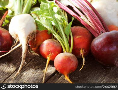 Fresh farm colorful beetroot on a wooden background. Detox and health. Selective focus. Red, golden, white beet .. Fresh farm colorful beetroot on a wooden background. Detox and health. Selective focus. Red, golden, white beet