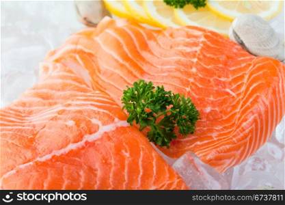 Fresh fillets of salmon on ice with clams and lemon