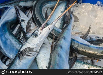 Fresh fish at the seafood market