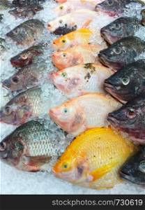 Fresh fish on ice shelf at market.