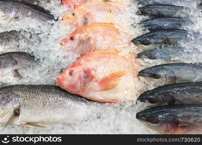 Fresh fish on ice shelf at market.