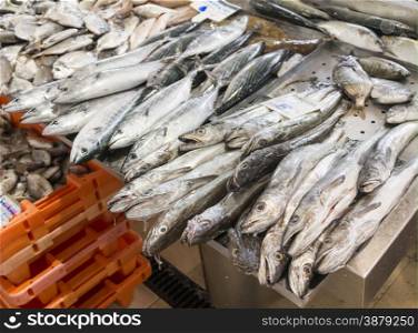 fresh fish on the market for selling