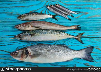 Fresh fishes mix hake seabass sardine mackerel anchovies