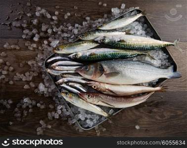 Fresh fishes mix hake seabass sardine mackerel anchovies on ice and wood