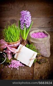 Fresh flowers hyacinths. SPA concept