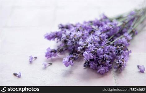 Fresh flowers of lavender bouquet on a pink tile background