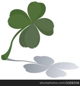 Fresh four leaf clover with reflection