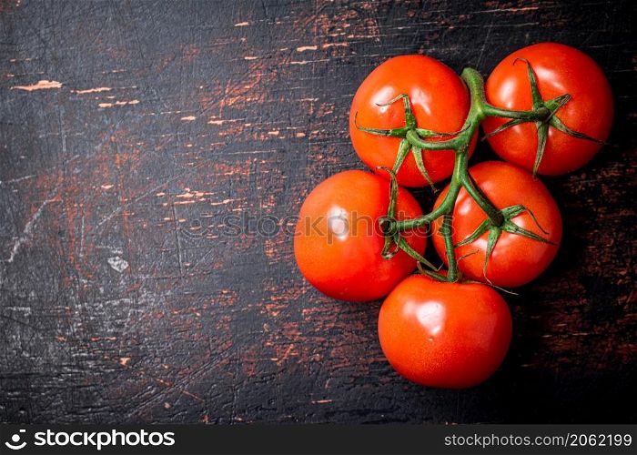 Fresh fragrant tomatoes on a branch. Against a dark background. High quality photo. Fresh fragrant tomatoes on a branch.