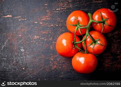 Fresh fragrant tomatoes on a branch. Against a dark background. High quality photo. Fresh fragrant tomatoes on a branch.
