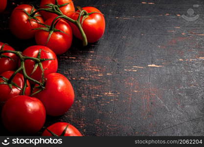 Fresh fragrant tomatoes on a branch. Against a dark background. High quality photo. Fresh fragrant tomatoes on a branch.