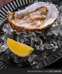 Fresh french appetizer oysters on ice with lemon