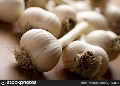 fresh garlic background