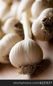 fresh garlic background (shallow DOF)